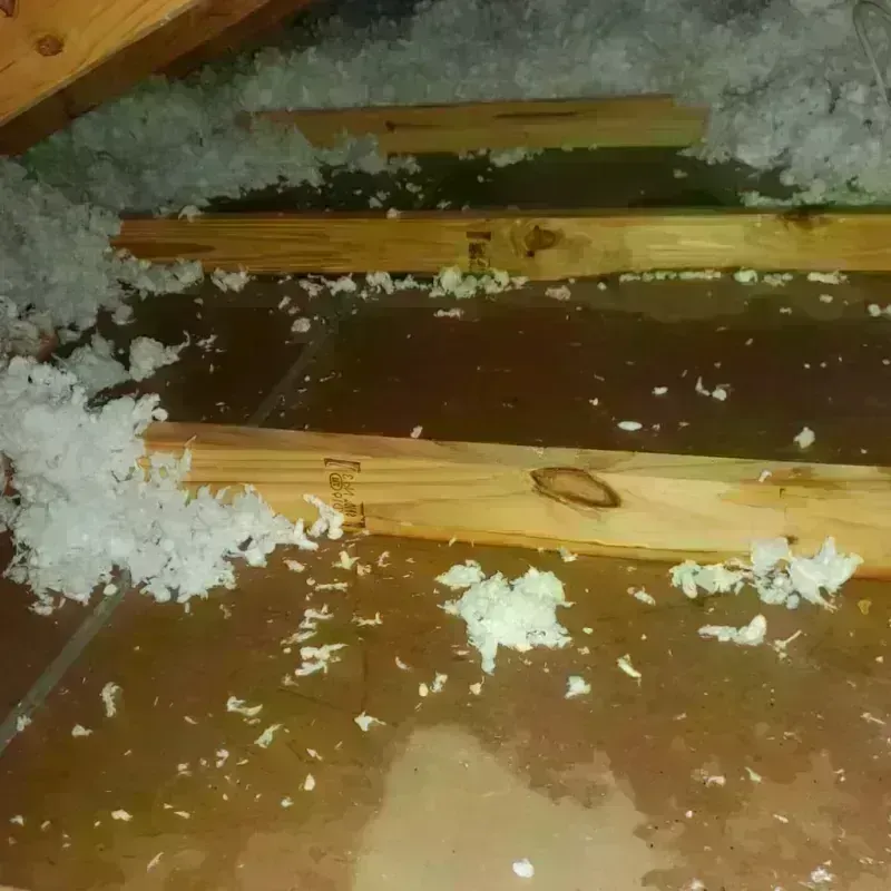 Attic Water Damage in Vancleave, MS